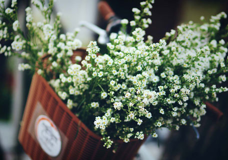 2016最新微信名四个字好听的昵称_起名网