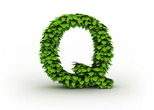 Q开头的女生英文名字大全 以字母Q开头的