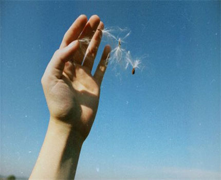 什么手相特征的两个人携手一生_起名网