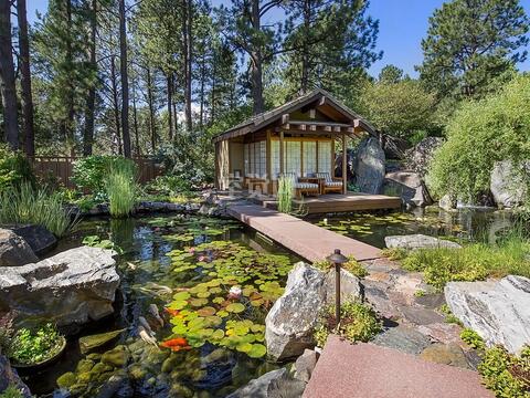 _房子风水_房子西北侧大树讲究风水你知道吗