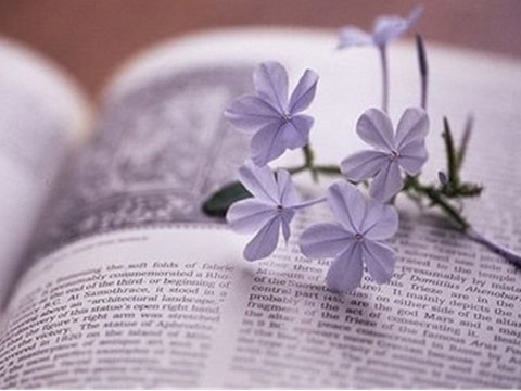 宝宝起名 鸡年姓梁的女孩名字大全_起名网