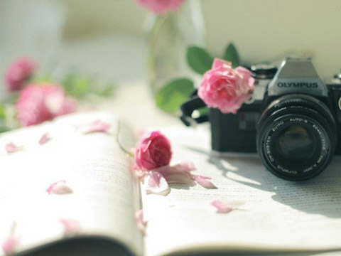 生肖配对属虎和属狗适合做夫妻吗 属相婚配虎