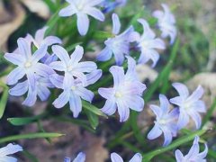 起名网_周易起名,生辰八字起名,姓名测试