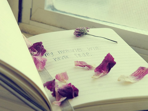 三字网名女生简单气质_起名网