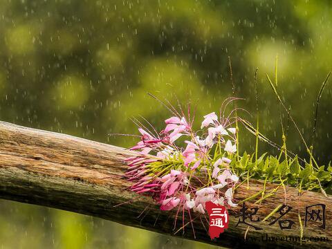 今天是几九第几天2018年_起名网