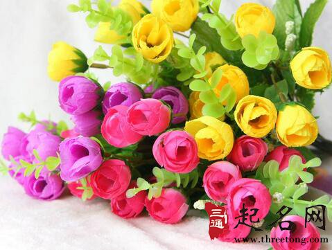 家人微信群名称大全时尚的_起名网