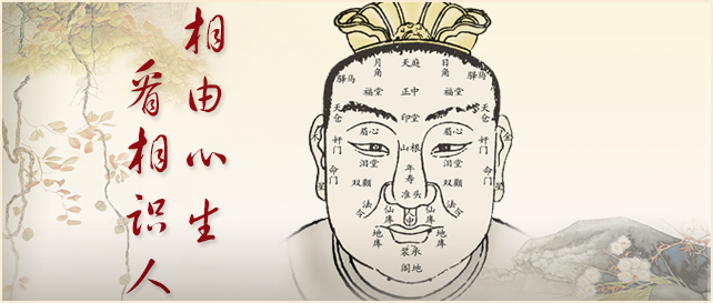 相术大全