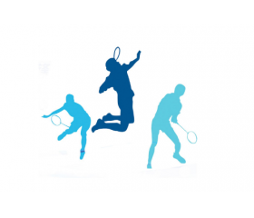 李宗伟为林丹颁奖，李宗伟是什么生肖呢？