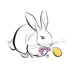 属兔1987年出生是什么命，火兔之命