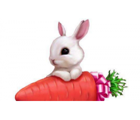 75年属兔人在鼠年如何化太岁，怎么提升运势