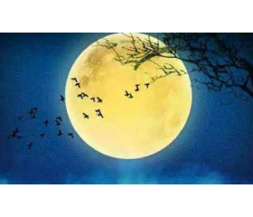 农历有二月三十吗，农历知识科普