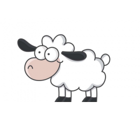 67年属羊人54岁后命运，幸福安稳