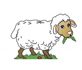 属羊人的桃花贵人是谁，属猪属兔属马