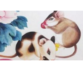 属鼠的命中克星和福星是谁，克星属鸡属兔福星龙牛