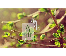立春有什么传统活动，立春养身原则