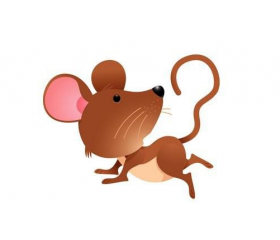 属鼠男2008年出生命运，运势不断上涨