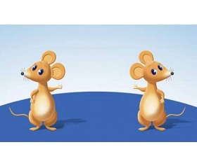 属鼠女2008年出生命运，运势好坏参半