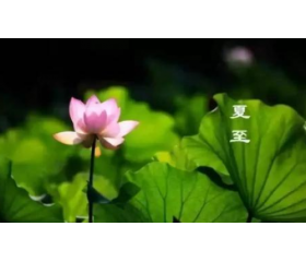 夏至出生的孩子好吗，夏至出生宝宝运势分析