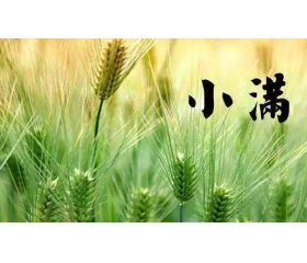 小满气候有什么特点，有哪些习俗