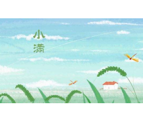 小满喝什么茶比较养生，小满如何调养身体