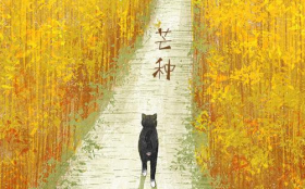 24节气之芒种要注意什么，芒种养身原则