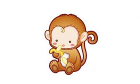 属猴2020年可以生鼠宝宝吗，几月出生旺父母