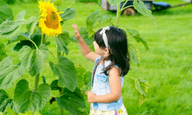 猪宝宝好听的乳名女孩2019，属猪女孩取名注意事项