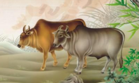 属牛2019年下半年运势