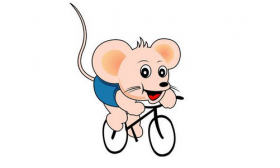 属鼠2019年下半年运势