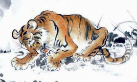 属虎五行属什么，具体运势如何