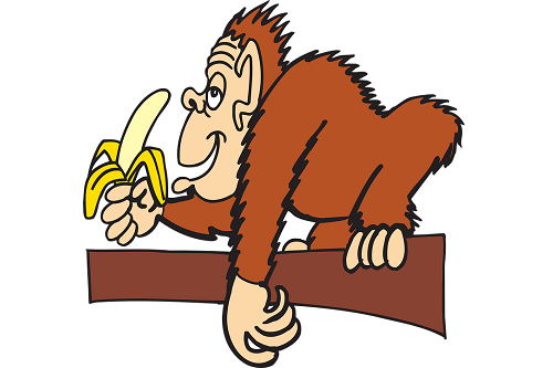 属猴人30岁过七劫，怎么化解30岁七劫