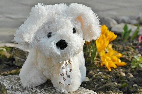 2023年属狗会有牢狱之灾吗，属狗人2023年的运势怎么样呢