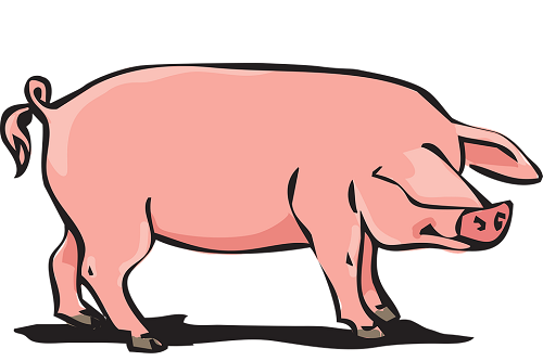 71属猪2023年有两喜，71年属猪人今年会遇到什么喜事