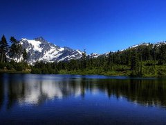 周公解梦梦见杀人是什么意思