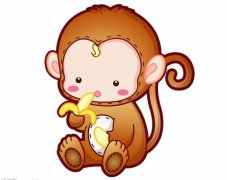 2016年属什么生肖 2016年属猴是什么命