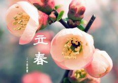 2016年立春是几月几号几点