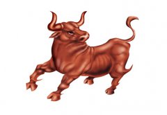 属牛的今年多大2017年