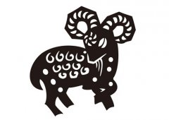 属羊的今年多大2017年