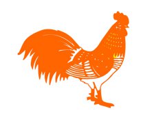 属鸡的今年多大2017年