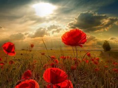 周公解梦梦见杀人了是什么意思