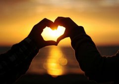 属马和属狗的相配吗 属马和属狗的婚姻配对