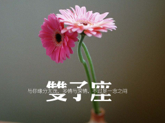 双子座日期