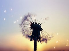 周公解梦梦见死人又活了是什么意思