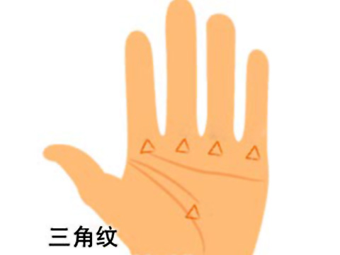 手相三角纹图解 起名网 手相三角纹图解 起名网