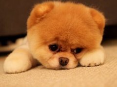 周公解梦梦见死人说话是什么意思