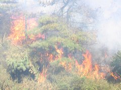 周公解梦梦见大火烧山是什么意思