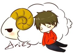 白羊座男生和白羊座女生配对