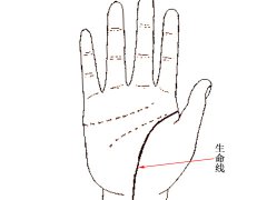 生命线分叉图解大全