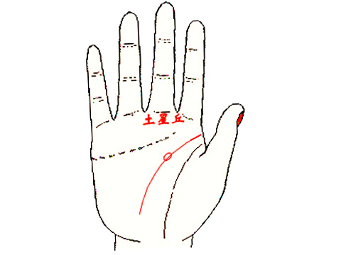 手相智慧线上有岛纹算命图解 起名网