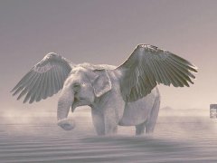 周公解梦梦见会飞是什么意思